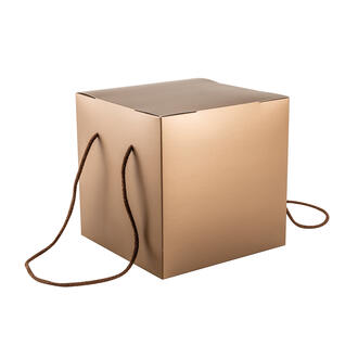 SCATOLA PANETTONE BROWN 21x21x21