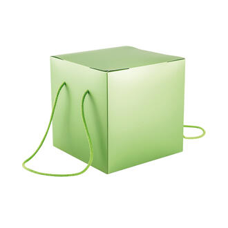 SCATOLA PANETTONE GREEN 21x21x21