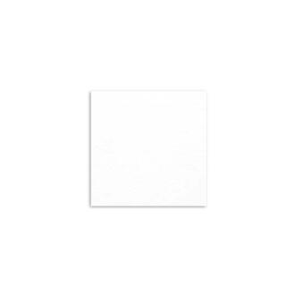 TOVAGLIOLO EXCELLENCE BIANCO 40x40