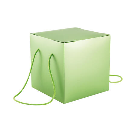 SCATOLA PANETTONE GREEN 21x21x21 - 1