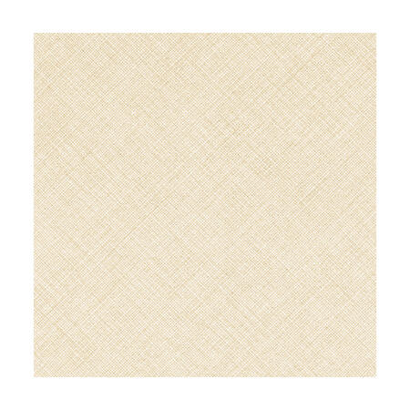 TOVAGLIA EXCELLENCE CASUAL CHAMPAGNE 100x100 - 1